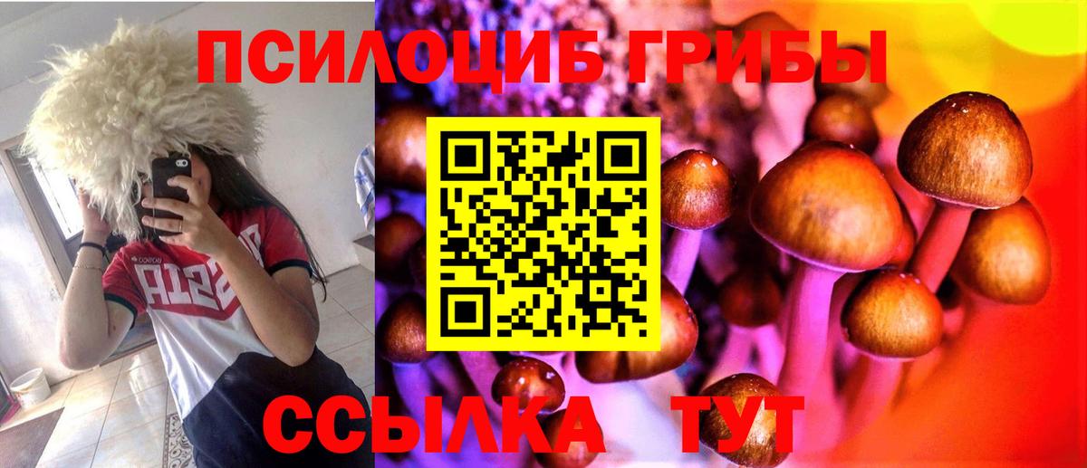 Майкоп  Галлюциногенные грибы Psilocybe  Вход с VPN 