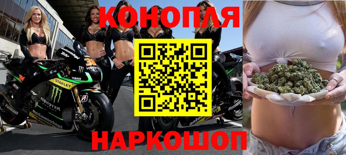 Каннабис Ganja Майкоп